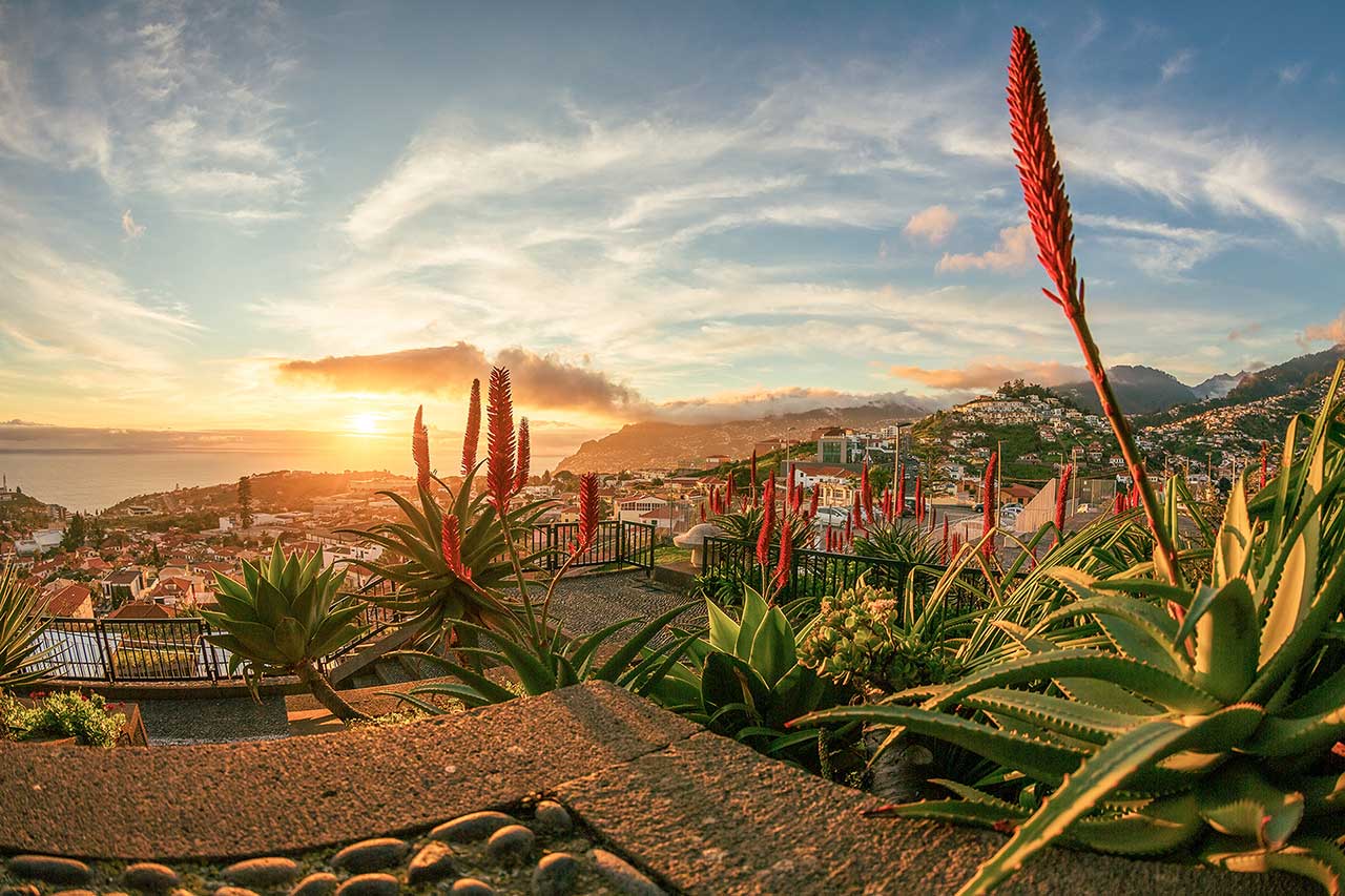 Madeira